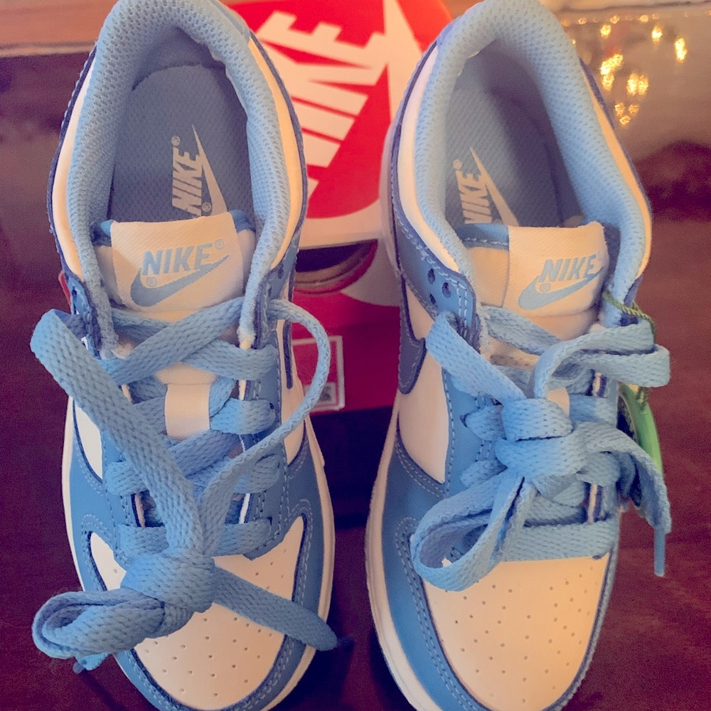 Kids Nike Dunk Low.  Brand New.